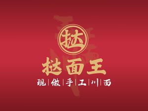Ta Mian Wang · Handmade Sichuan Noodles (Xin Le Road Store)