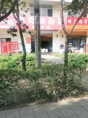 Bin Ge Wan Za Noodles