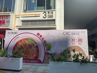 Chongqing Water Drooling Noodles
