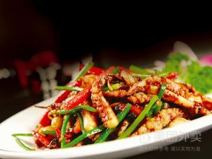 Bamboo's Squid