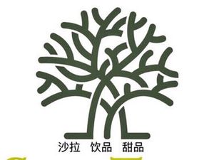 Sam's Big Tree (Xiaojiahe Branch)