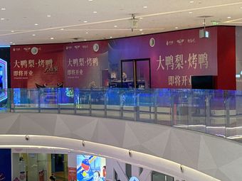 Da Ya Li Roast Duck (Longhu Xichen Selection Store)