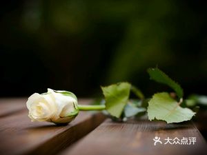 Wu Gu Doudou (Guancheng Branch)