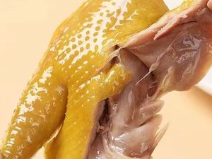 Guangdong Hakka Salt-Baked Chicken (Haigui City Store)