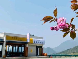 Fujiwara Tofu Shop (Flagship Store)