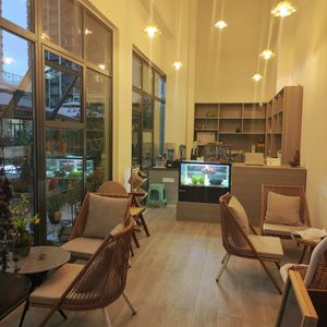 Boson Coffee & Drinks
