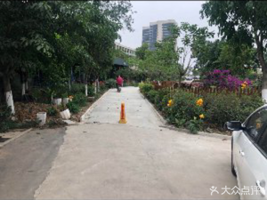 Lotus Blossoms (Liuyue Road Branch)