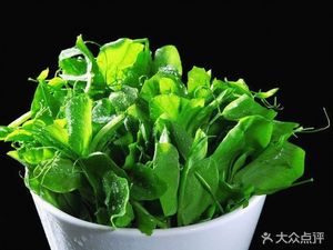 Authentic Chen's Jianyang Lamb Soup