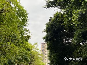 Shuangliu Maojiezi Intestine Noodles (Xiajia Alley)
