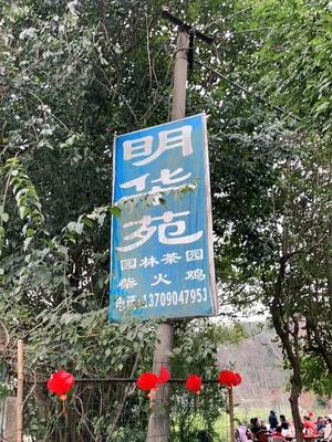 Ming Hua Yuan Firewood Chicken