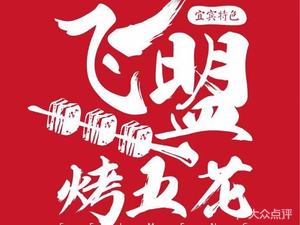 Feimeng Yibin Speciality Roasted Pork Belly (7th Direct Store)