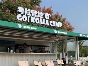 Koala Camp (Gaoting Mountain Store)