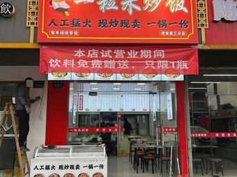 One Grain of Rice Fried Rice