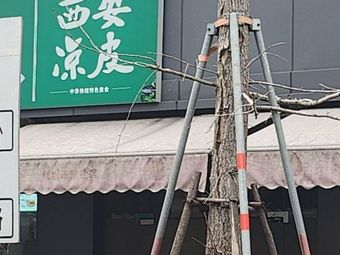 Xi'an Cold Noodles (Shaanxi Province)