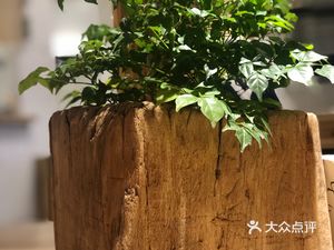 Shashi Ji · Yangjia Dun Comprehensive Building Branch