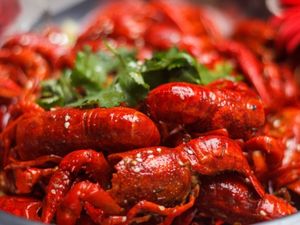 Xuyi Lobster BBQ & Oysters