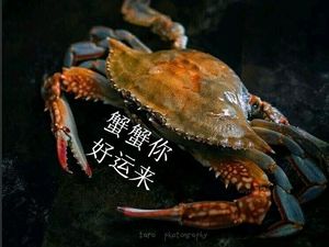 Good Luck Seafood (Yongjin Plaza Branch)