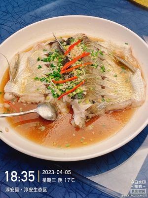 Qian Dao Fish Pier