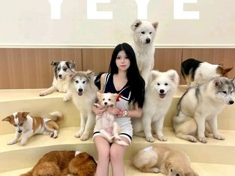 YEYE Samoyed Theme Dog & Cat Café · DIY · Arcade