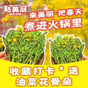 赵美丽·重庆社区火锅·直营店(滨江宝龙店)