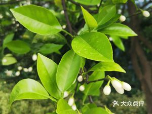 Huainan Beef Soup Restaurant