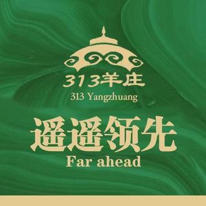 313 Sheep Ranch · Hot Pot · Whole Roasted Lamb Gathering & Team Building (Hangzhou First Store Fengshang Branch)