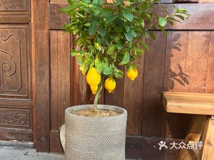 MUTC mutocircle Hangzhou Mu Yi Coffee (Dafu Bookstore Store)