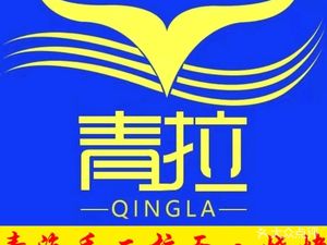 Qing La Beef Noodles · Halal (Senhe Plaza Branch)