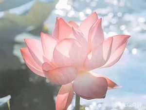 Mei Wei Yuan Specialty Dishes Shop