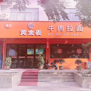 Golden Wheat Beef Noodles