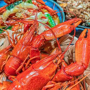 Sasa Night Snack Quality