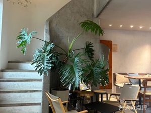 Clara Coffee·克拉拉咖啡