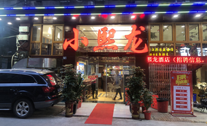 Xiao Xi Long