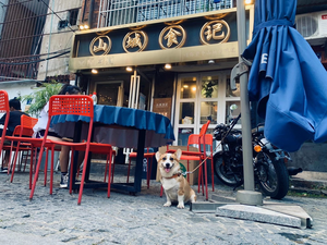 Shancheng Food Memoirs (Li Huangbei Road Store)