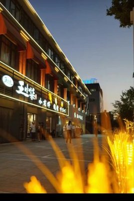 Wang Xiaoshi · BBQ and Crawfish