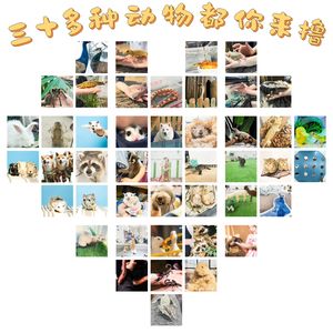 天空萌宠牧场·猫咖·狗咖·爬宠·异宠(中心百货商场...