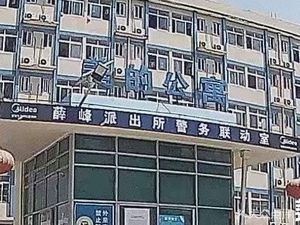 Fenglin Fifth Road Midea Apartment Steamed Fortune Buns Store (Fengshunan Road Branch)