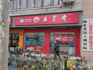 Wufangzhai Rice Balls