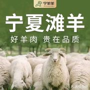 Ningxia Lamb (Baisha Fourth Road Branch)