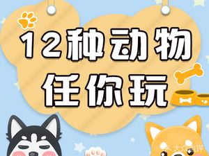 虎哥家的萌宠屋·猫咖·狗咖·异宠咖(街道口店)
