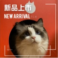 Roll Cat Coffee & Cat-friendly Cat Cafe (Future City Store)