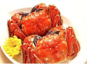 Xie Xing Ge Crab House (Wuchang Flagship Store)