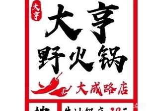 Daheng Wild Hot Pot (Dacheng Road Branch)