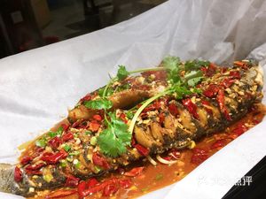 Parrot Avenue Paper Grilled Fish