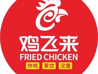 Chicken Fly Here Fried Chicken (Wuhan College Branch)