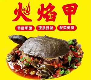 Flame Jia (Panlongcheng Wanda Store)
