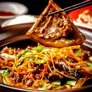 Lu Gui Jia · Hubei Signature Softshell Turtle (Huangpi Branch)