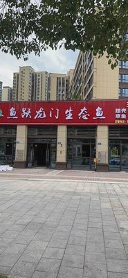 Fish Leap Dragon Gate Ecological Fish