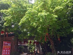 Three Creek Mouth Old Yard