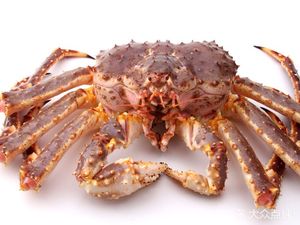 Bi Ju Seafood (Yudong Store)